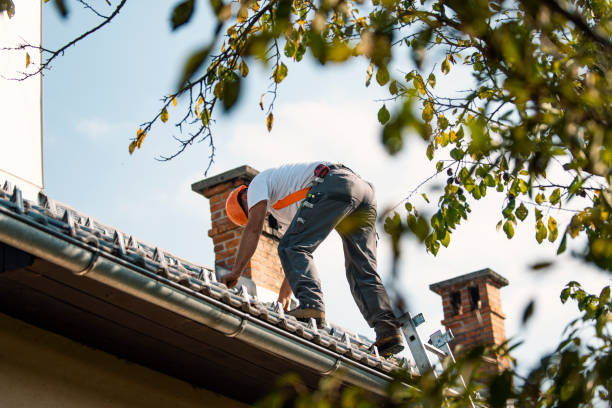 Professional Roofing Contractor in Burnsville, NC